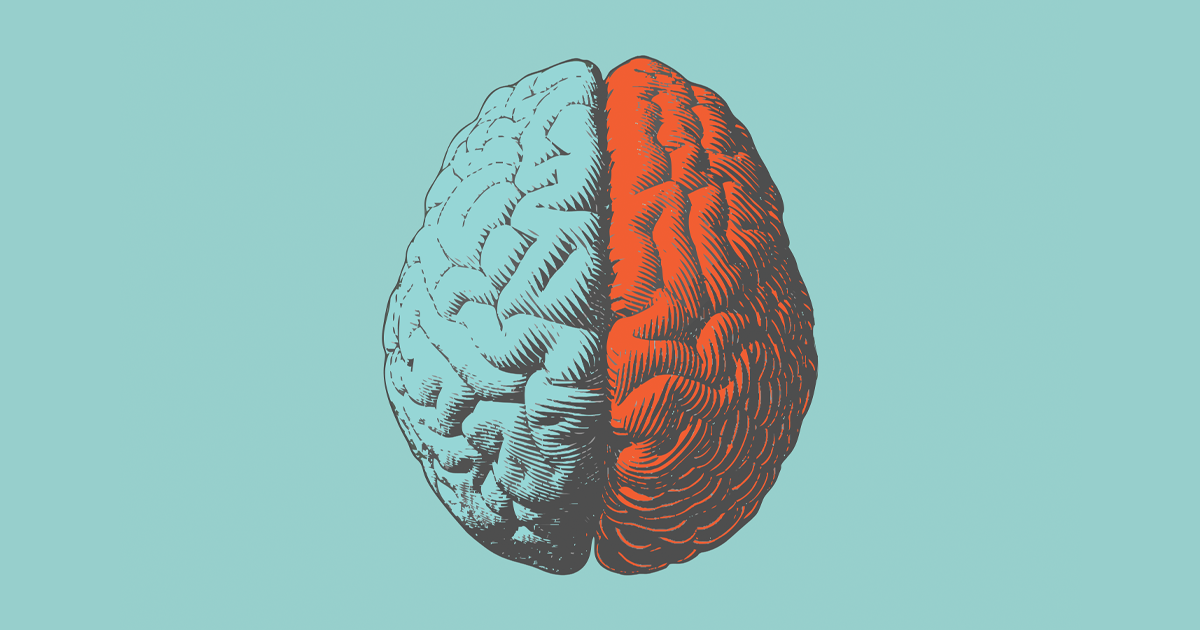 brain illustration