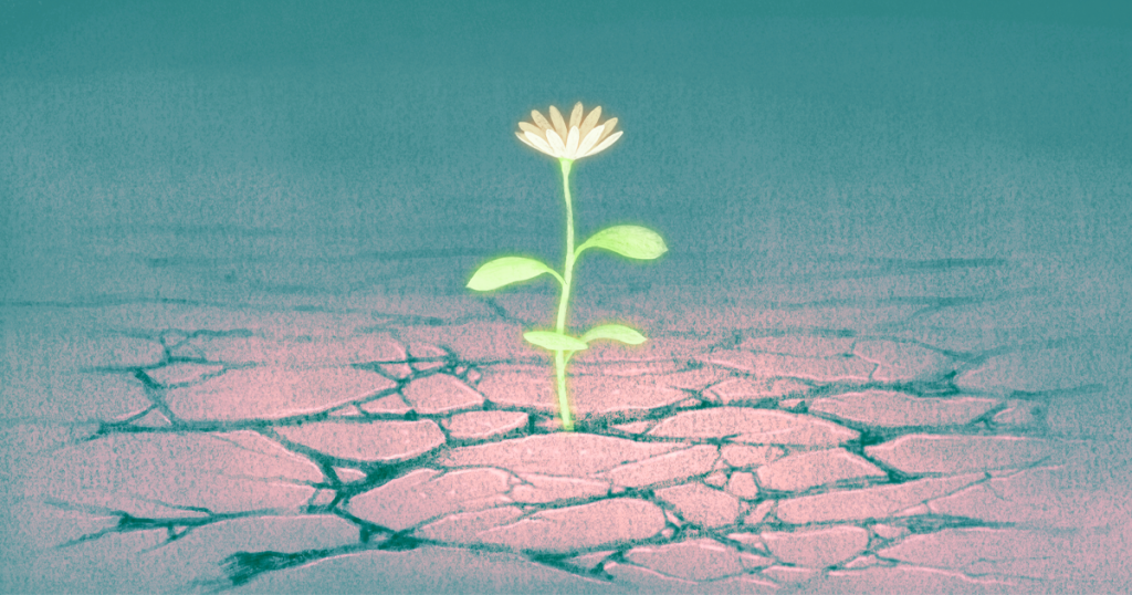 illustration of flower blooming in desert